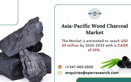 Asia-Pacific Wood Charcoal Market