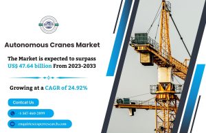 Autonomous Cranes Market