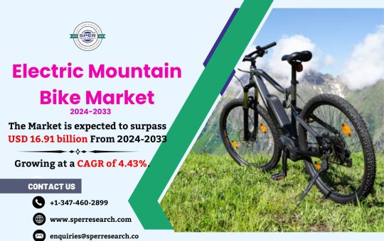 Electric Mountain Bike Market