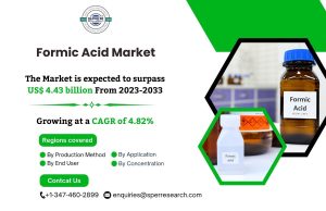 Formic Acid Market