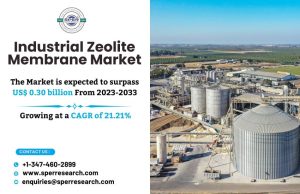 Industrial Zeolite Membrane Market