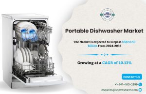 Portable Dishwasher Market