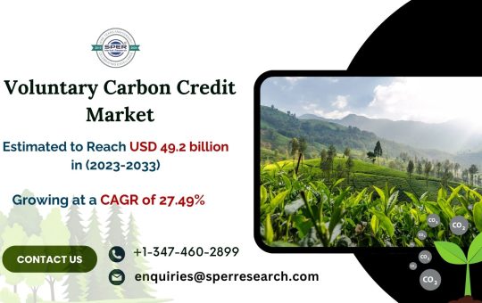 Voluntary Carbon Credit Market