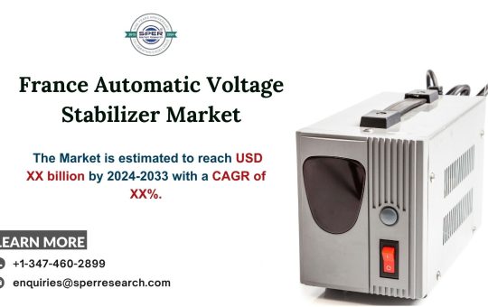 France Automatic Voltage Stabilizer Market