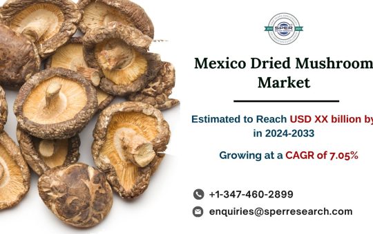 Mexico Dried Mushroom Market