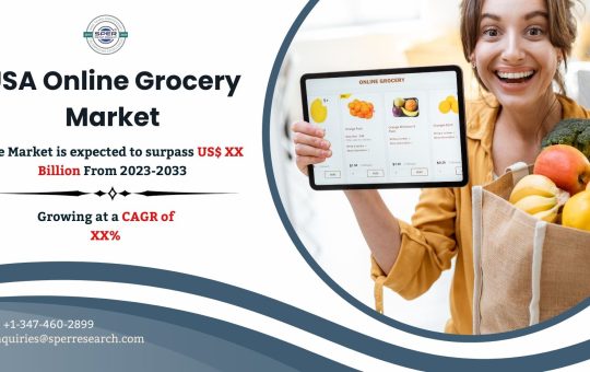 USA Online Grocery Market