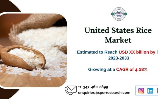 United States Rice Market