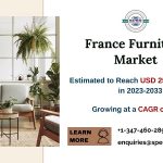 France Home Furniture Market Growth 2024, Rising Trends, Revenue, CAGR Status, Key Manufacturers, Challenges, Future Opportunities and Forecast till 2033: SPER Market Research