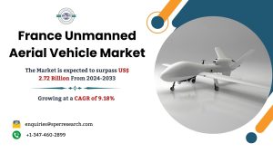 France Unmanned Aerial Vehicle Market