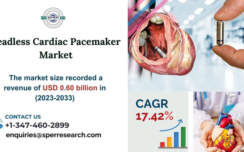 Leadless Cardiac Pacemaker Market