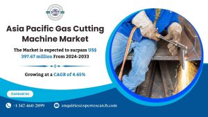 APAC Gas Cutting Machine Market