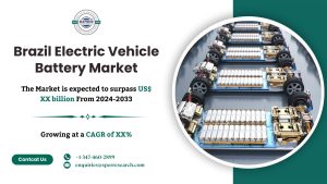 Brazil Electric Vehicle Battery Market