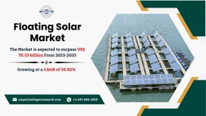 Floating Solar Market