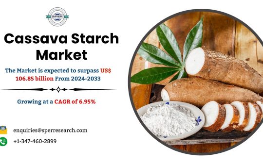 Cassava Starch Market