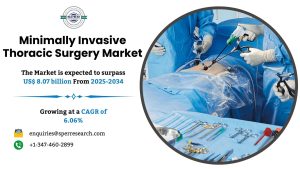 Minimally Invasive Thoracic Surgery Market