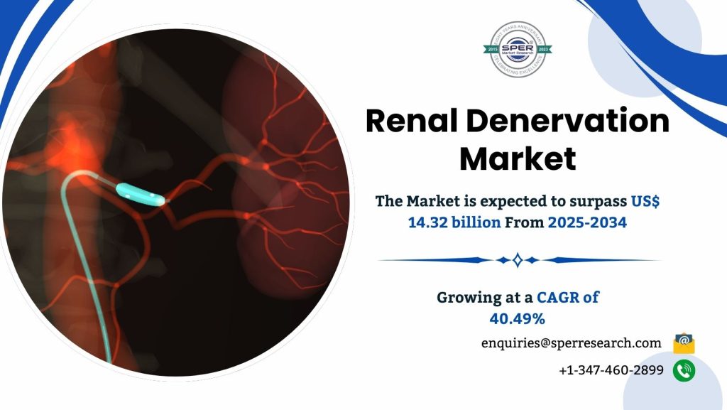 Renal Denervation Market