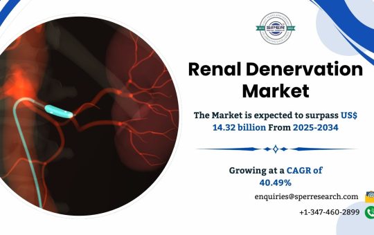 Renal Denervation Market