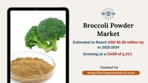 Broccoli Powder Market