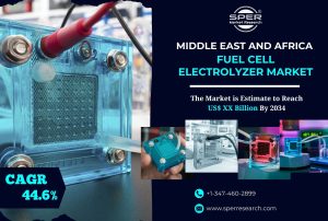 Middle East and Africa Fuel Cell Electrolyzer Market