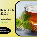 Sparkling Tea Market Trends, Scope, Analysis, Growth and Forecast 2034: SPER Market Research