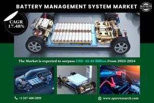 Battery Management System Market