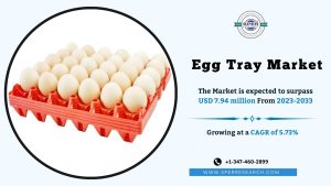 Egg Tray Market
