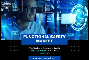 Functional Safety Market
