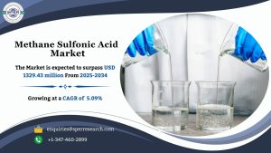 Methane Sulfonic Acid Market (1)