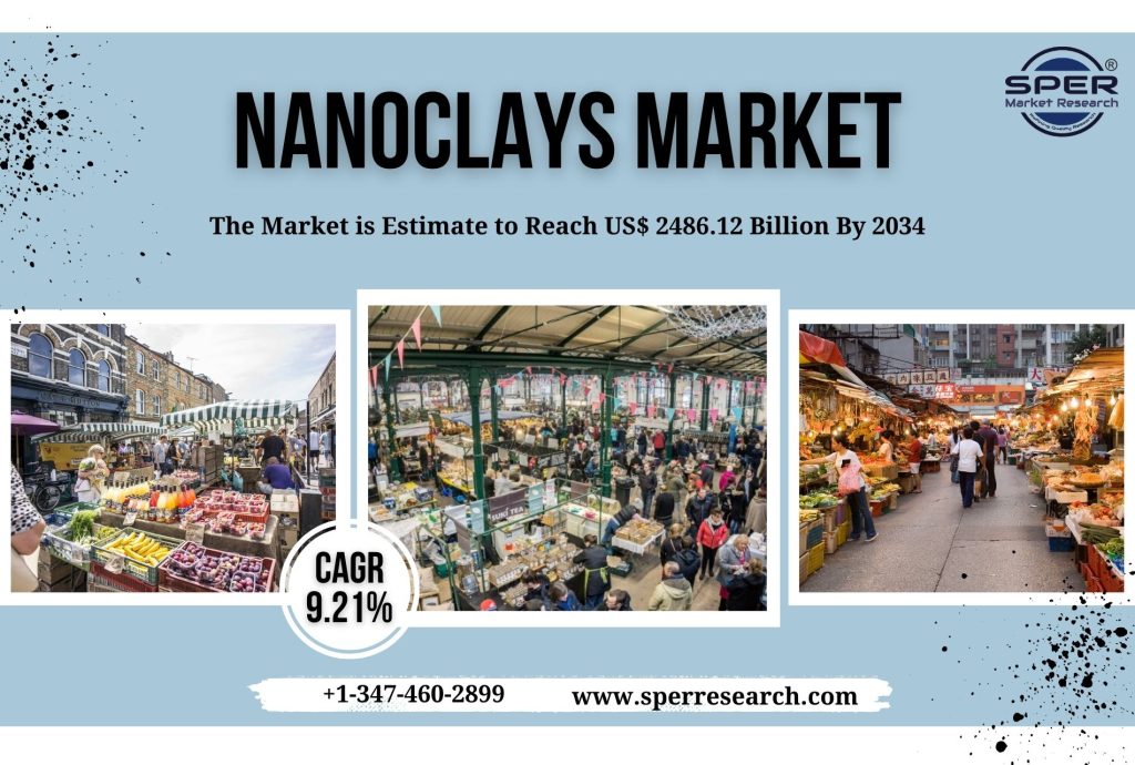Nanoclays Market