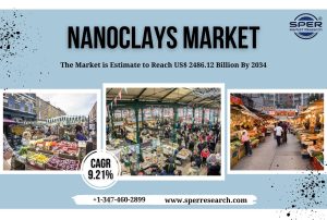 Nanoclays Market