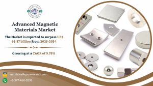 Advanced Magnetic Materials Market
