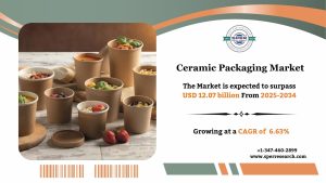 Ceramic Packaging Market