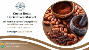 Cocoa Bean Derivatives Market
