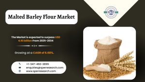 Malted Barley Flour Market