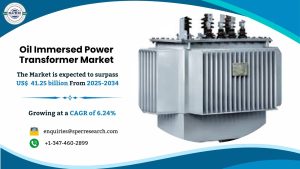 Oil Immersed Power Transformer Market