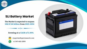 SLI Battery Market