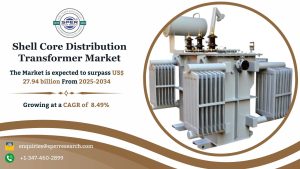 Shell Core Distribution Transformer Market