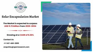Solar Encapsulation Market