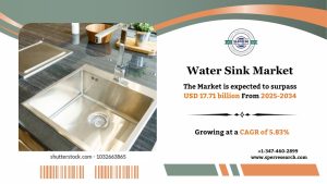 Water Sink Market