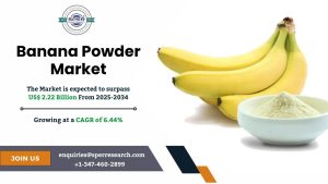 Banana Powder Market