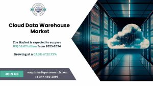 Cloud Data Warehouse Market