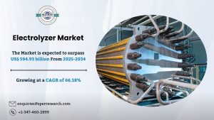 Electrolyzer Market