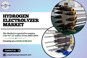 Hydrogen Electrolyzer Market
