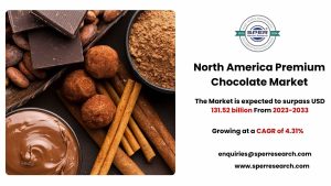 North America Premium Chocolate Market