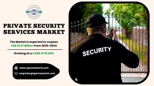 Private Security Services Market