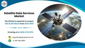 Satellite Data Services Market