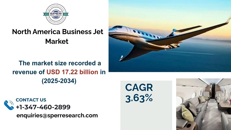 north america bussiness