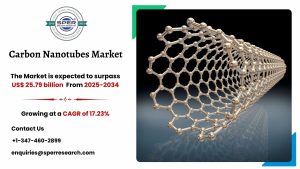 Carbon Nanotubes Market