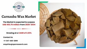 Carnauba Wax Market