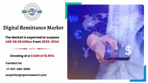 Digital Remittance Market